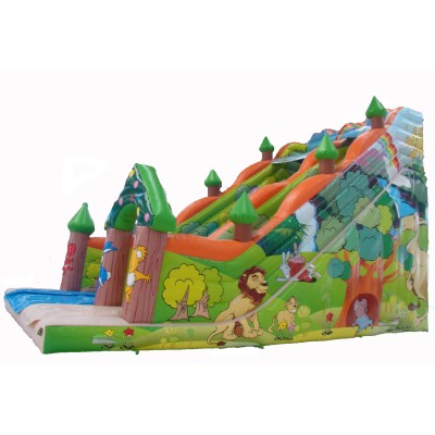 High Quality Factory Direct Fashion Inflatable Slide Customizable Inflatable Water Slides for Children's Entertainment