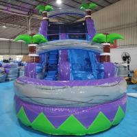 Deslizamiento acuático comercial de PVC Palma Deslizamiento de agua inflable para niños Deslizamiento inflable con piscina