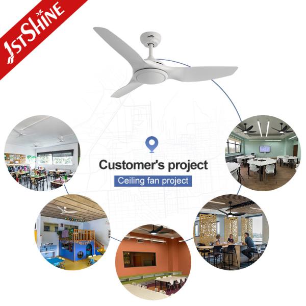 48 Inch/OEM 1stshine Ceiling Fan with Light and Remote Low Noise DC Copper Motor 2-