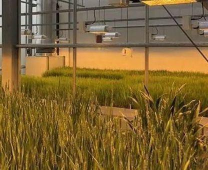 Double Layer Water Sprayer Controlled Illuminating Greenhouse for Planting Solutions