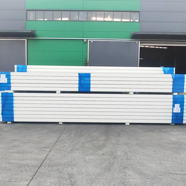 Panneaux isolants de stockage industriel à froid en acier à couleur personnalisée