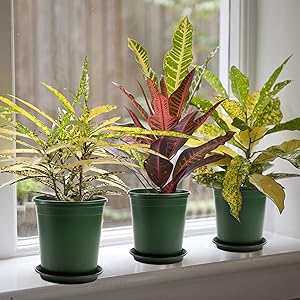 Nursery Pot Plant Grow Sturdy Flower pots in Bulk Price Gallon Durable Nursery Pot Garden Flower Pots Nursery Plant Container Kit With Matching Pallets