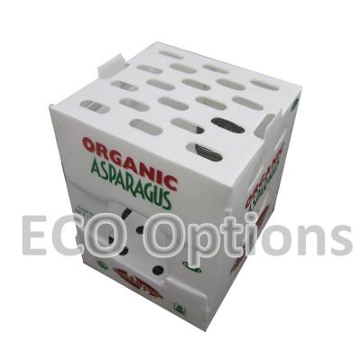 Recycling PP Corrugated Plastic Box Coroplast Packaging Box Customized Foldable ECO