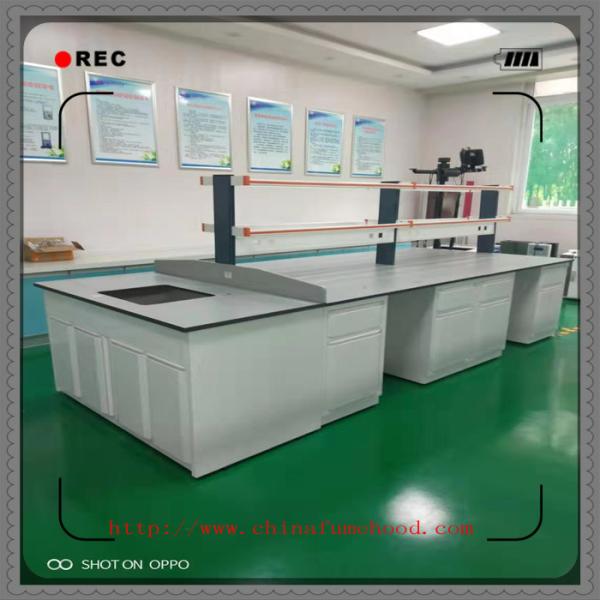 Durable Chemistry Lab Furniture FRP Lab Cabinets And Countertops 5 Years Warranty