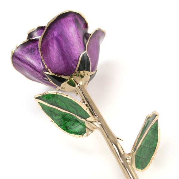 24k Flowers Gilded Rose Factory Direct Birthday Valentine Christmas Wedding Gifts Office Decoration