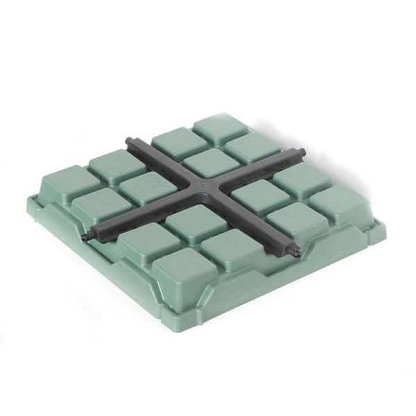 Utilisation dans le jardin Plantes hydroponiques Graines carrées Plateau en