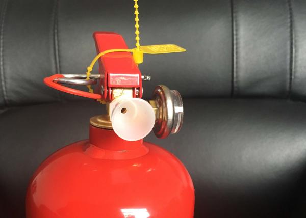 2Kg ABC OR BC dry powder  fire extinguisher with steel  foot ring cylinder