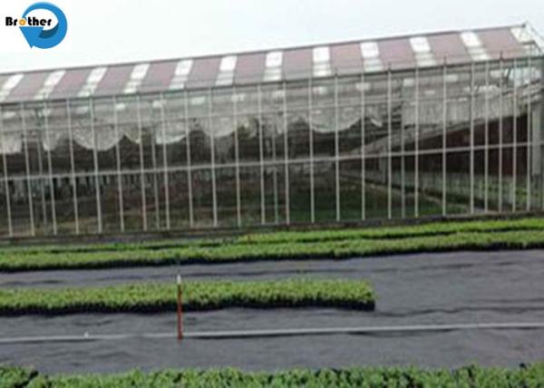 UV Treated Agricultural 3.2m Woven Plastic Weed Control Mat Ground Cover Barrier Fabric Sheet