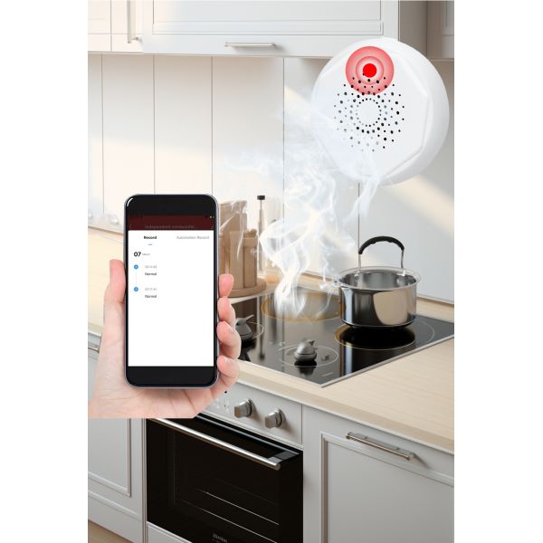 Home Smart Combustible Gas Sensor Detector 80dB Tuya ZigBee Gateway For Kitchen