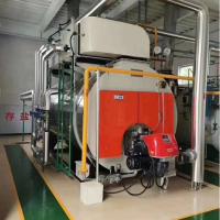 Horizontal Q235B Industrial Hot Water Boiler WNS Series