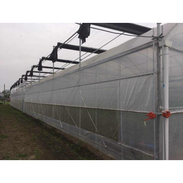 Политен стальной структуры растет тоннель для томата и огурца