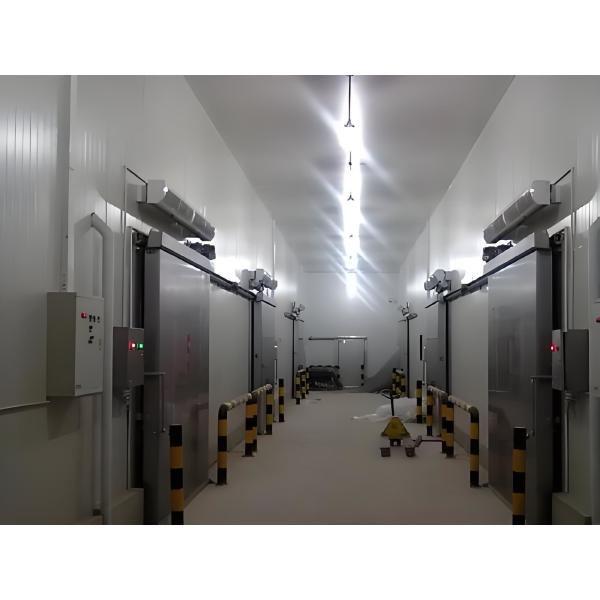 Frigorífico Bitzer de quarto frio com controlador de temperatura digital