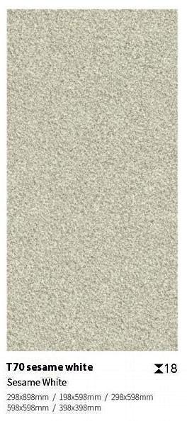 Carreaux de revêtement de sol gris 24x48 pour jardin