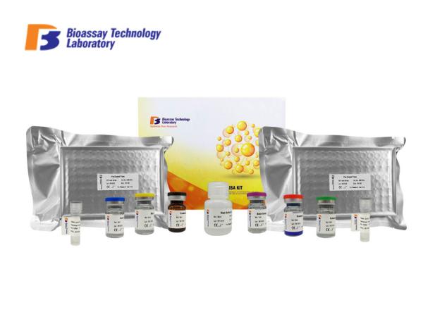 ELISA Kit Sandwich Immunoassay Human BDNF/NT-3 Growth Factors Receptor