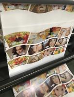 多色自動登録 PEカップ フレックス印刷機