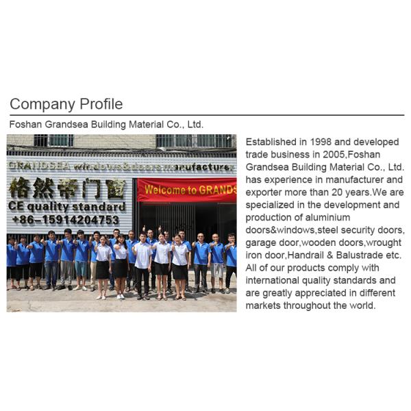 Villa Luxury 16 Ft Foot Clear Frosted Full View Aluminum Automatic Double Modern Insulated Glass Garage Door for Sale