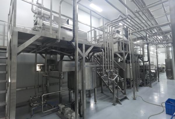 300T/D Stainless Steel Mango Juice Processing Line High Efficiency