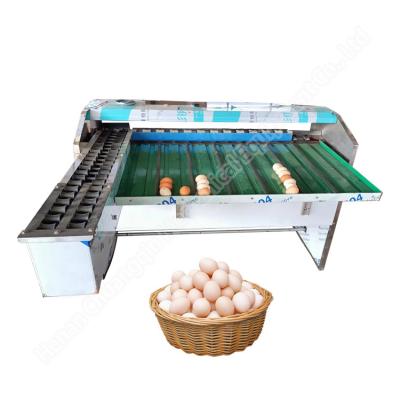 Egg Grade Machine Egg Sort Machine Egg Grader Egg Grader Machine