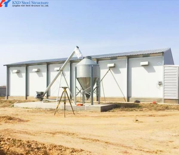 Prefab Steel Structure Broiler Chicken Shed with Onsite Installation