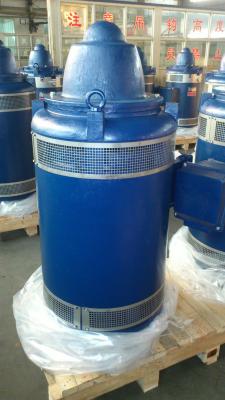 Low Vibration Vertical Shaft Electric Motor F Class Totally Enclosed VHS Motor