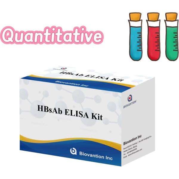 HBsAb Quantitative Elisa Test Kit Enzyme-Linked In Vitro Diagnostic Reagent ( IVD Reagents )