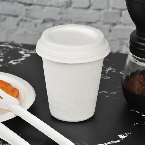 Customizable 8oz/10oz Bagasse Cup Food Grade Disposable Container with Customization
