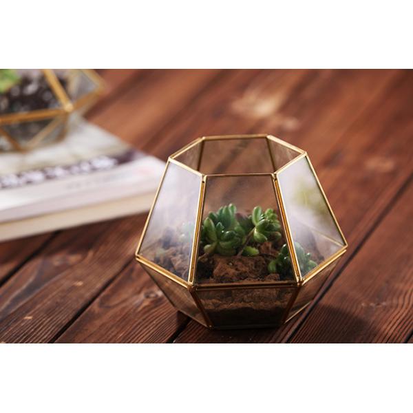 Modern Tabletop Decor Glass Homeware Geometric Terrarium DIY Flower Display Vase
