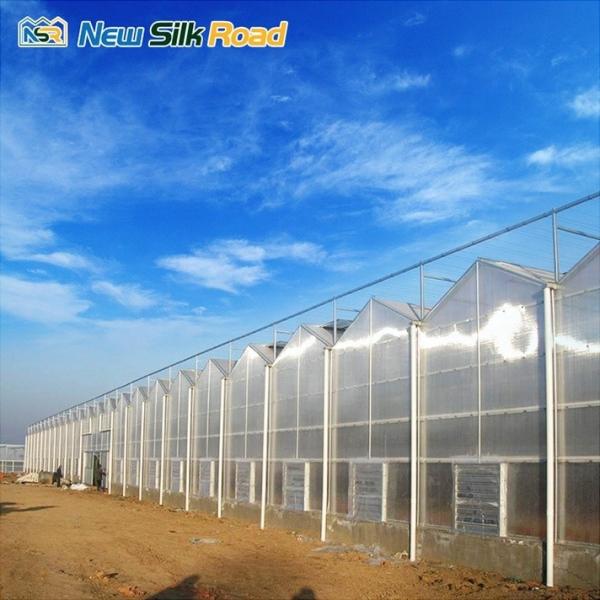 Multi-span Polycarbonate Greenhouse with Customizable Options and Prefabricated