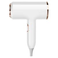 Séche-cheveux professionnel puissant 2300W avec protection contre la surchauffe des ions de lumière bleue