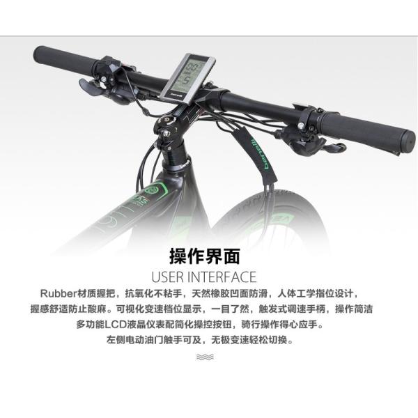 CE Certified 200W Power Electric Bicycle with 700C Wheels and Single Speed Freewheel