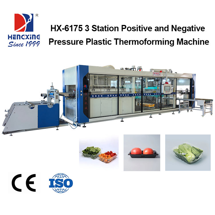 Plastic Fruit Clamshell & Meat Tray Thermoforming Machine Automatic Fresh Supermarket Food Packaging Box Making Machine for PP PET Sheet