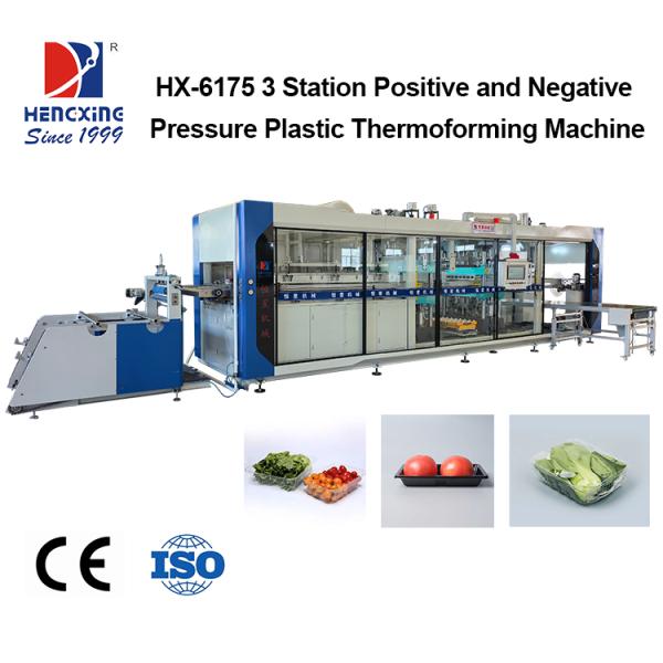 Plastic Fruit Clamshell & Meat Tray Thermoforming Machine Automatic Fresh Supermarket Food Packaging Box Making Machine for PP PET Sheet