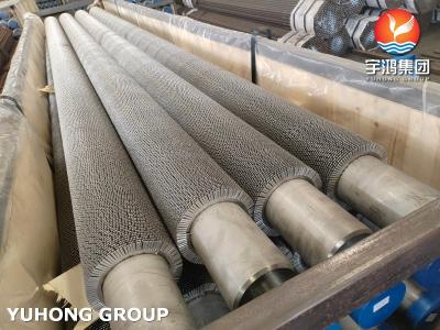 A312 TP304, TP304H,TP304L Serrated Fin Pipe SS304H Fins for Fired Heater Convection Section