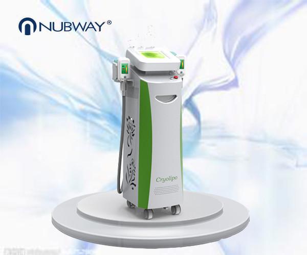 well-know cryolipolysis body slimming machine for a slimmer you