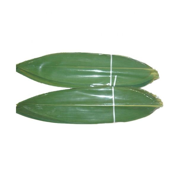 Popular Green Fresh Bamboo Leaves Frozen Packed Sushi Bamboo Leaf Sushi Leaves
