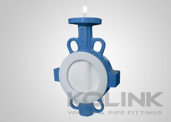 PTFE Seated Butterfly Valve Concentric 2-48 Inch Class150