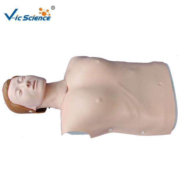 Electronic Half Body CPR Training Manikins Male Female Cpr Prompt Manikins VIC-404A / 404B