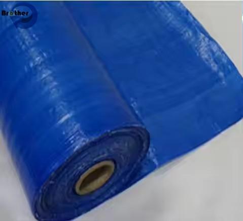Custom Polyethylene Tarpaulin Manufacturer Poly Tarp PE Tarpaulin With Eyelets