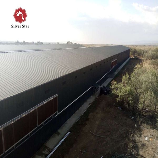 Poultry Cage/cages for Laying Hens Used/chicken Breeding Equipment