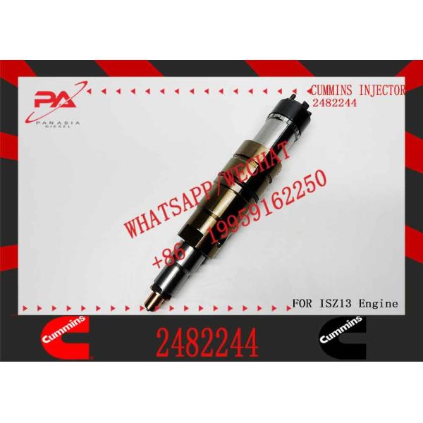 Инжектор топлива 2482244