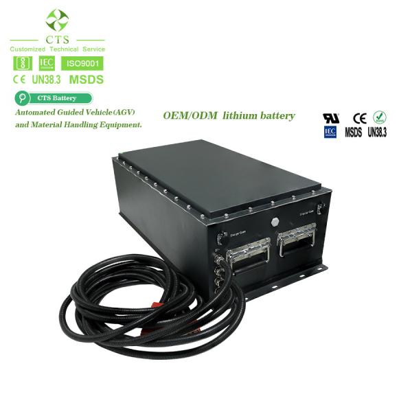 380*210*245mm 48V 300ah Lifepo4 Batteries for Customize Golf Cart from CTS