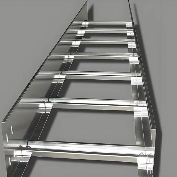 Plateau de câbles de type échelle extérieure à l'intérieur de 500 kg avec une résistance élevée à la corrosion et des caractéristiques de ventilation