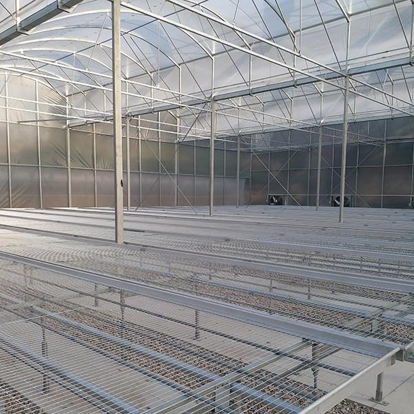 Industrial Flower Commercial High Tunnel Greenhouse With Fixed Roof Windows