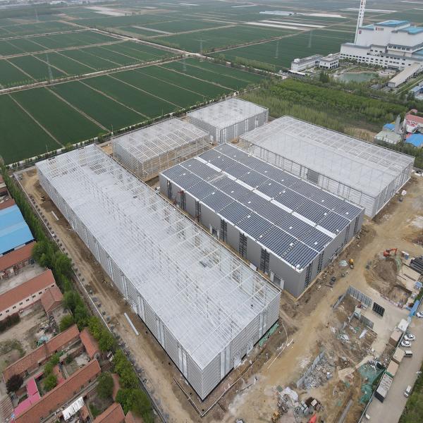 Steel Structure Factory with EPS Sandwich Panels and Galvanized Purlins