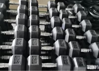 Home Rubber Encased Hex Dumbbell 2 Pack 10LB Non Slip Ergonomic Hand Weights For Muscle