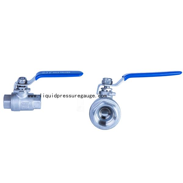 Stainless Steel BSP Instrument Manifold 2 PC Ball Valve 1/4 NPT Female To Female
