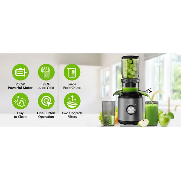 Masticating Juicer Machines For Vegetables Fruits , Cold Press Juicer