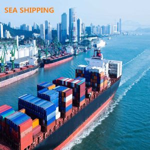DDP Sea Shipping