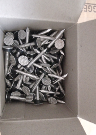 Настилающ крышу ногти хвостовика кольца плоской головки алюминиевые сделайте водостойким с шайбой EPDM