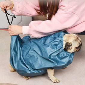 Automatic Dog Drying Bags plastic Pet Drying Bag Blue Blow Quick